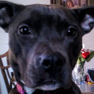 Meet your Posher, Olivia